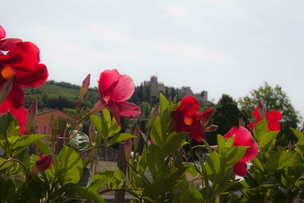 La Finestra Sul Castello Hotel Soave  Ngoại thất bức ảnh